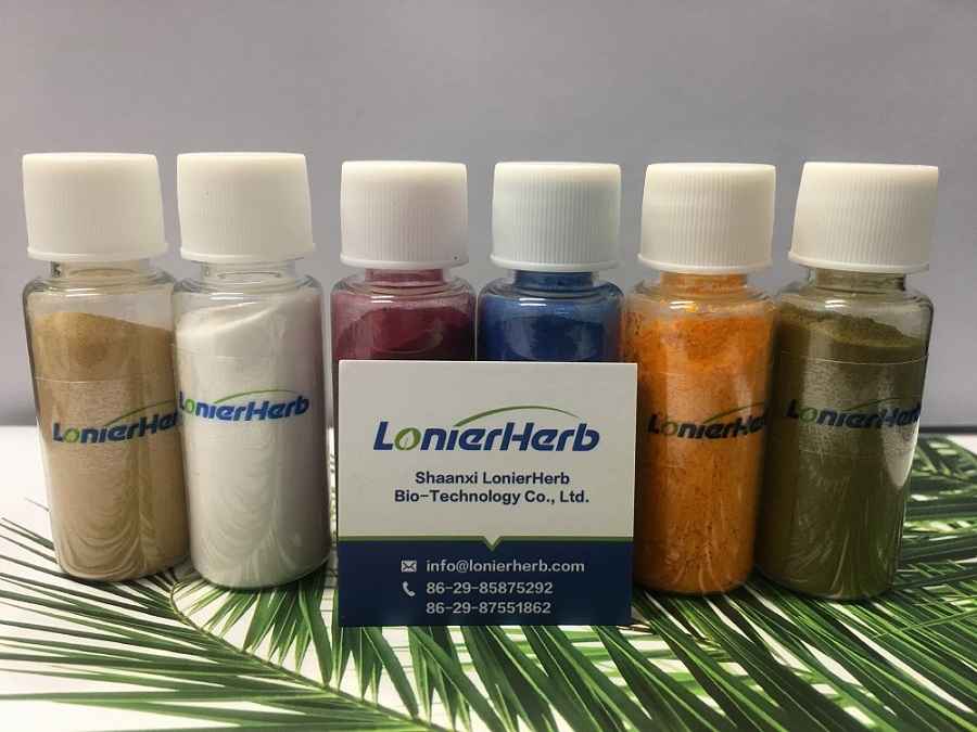 Phyllanthus Extract..