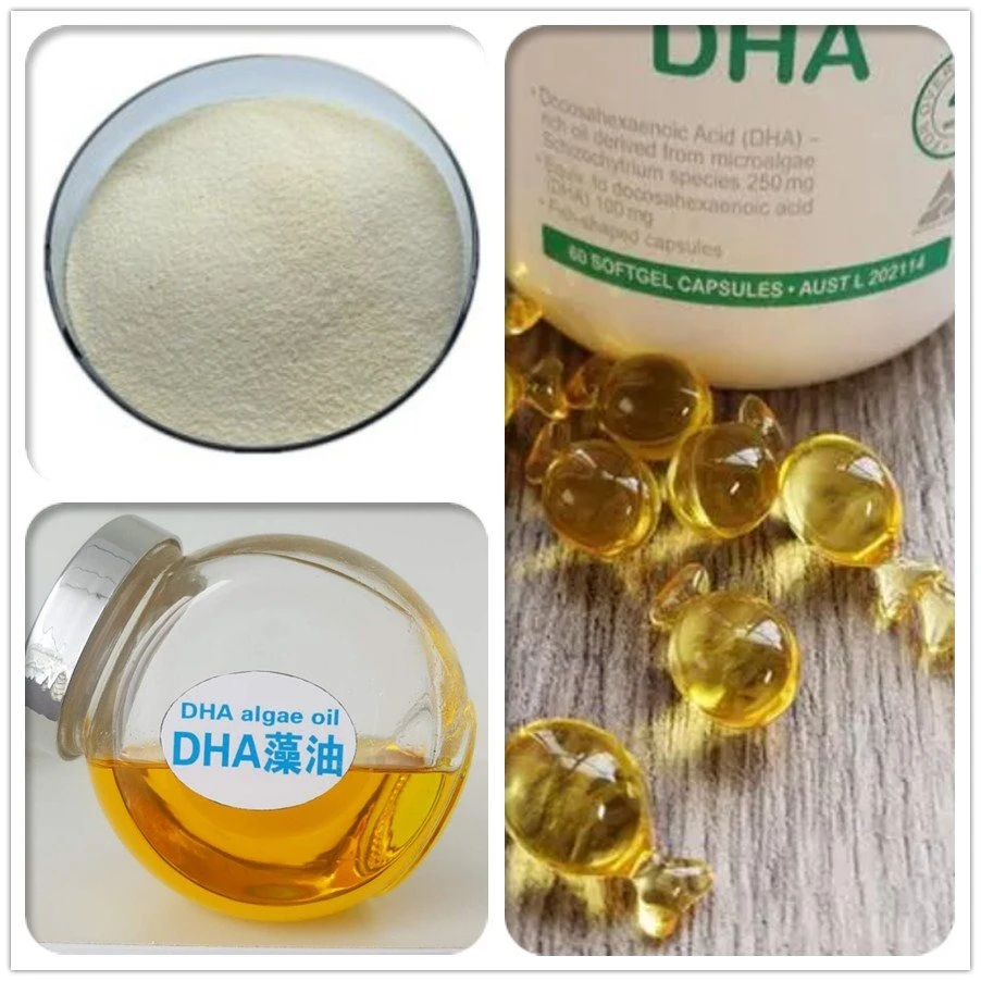 DHA Powder factory