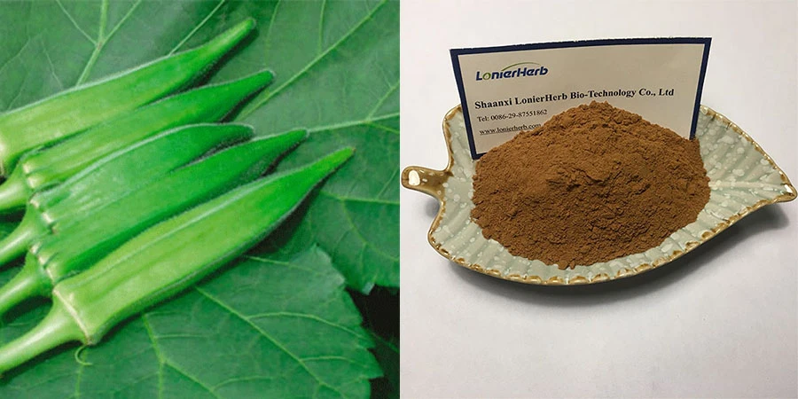 Vegan Abelmoschus Esculentus Extract Free Sample Vegan Abelmoschus Esculentus Extract Free Sample