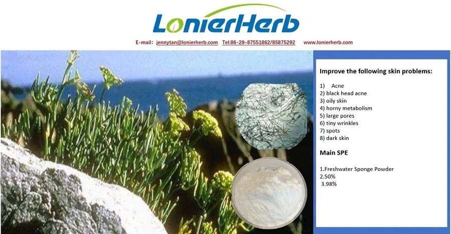 Sponge spongilla Powder