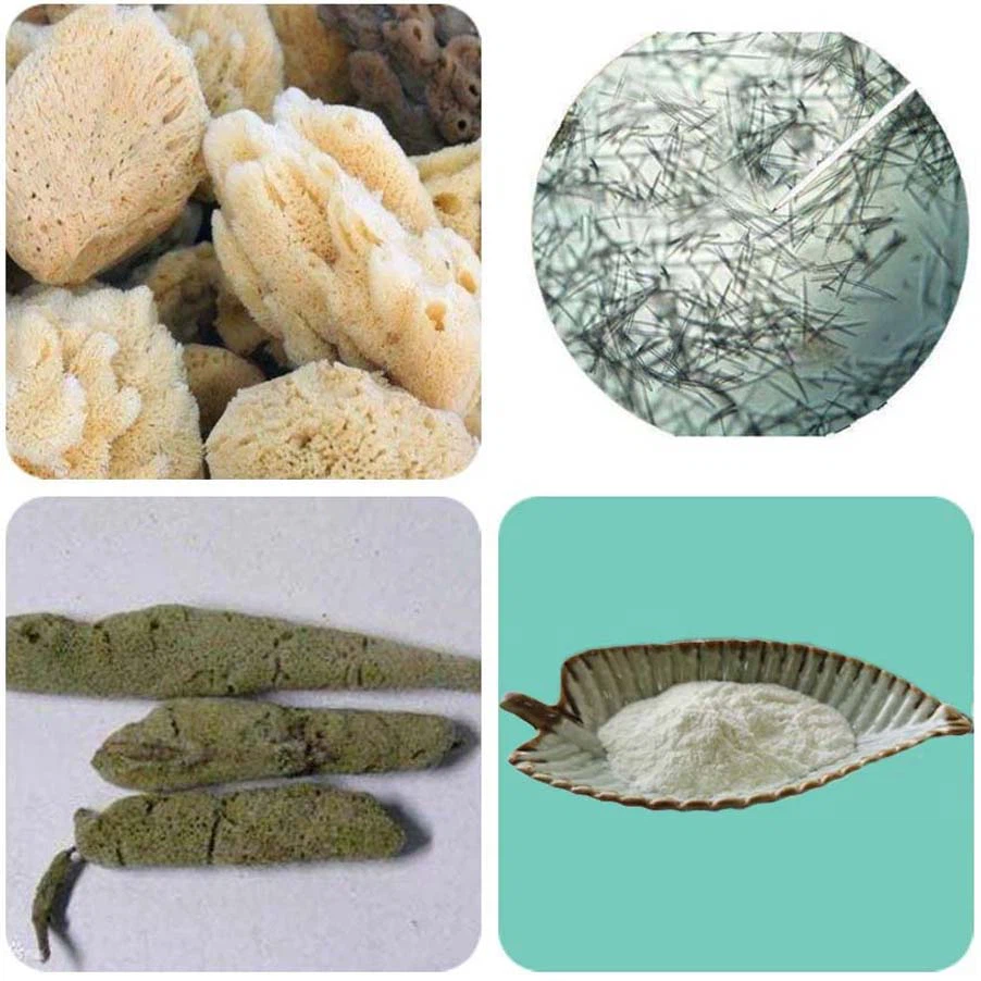 Hydrolyzed Sponge Extract