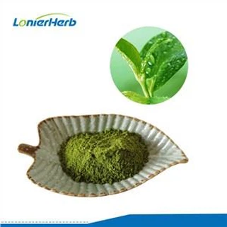 Ekstrakt Matcha čaja