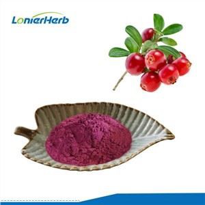 Voćni prah borovnice