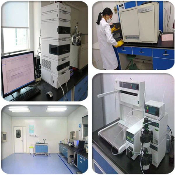 Virgin Olive Oil Powder