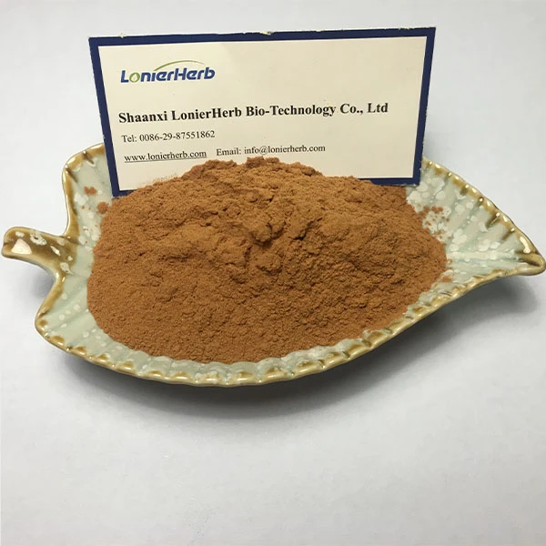 Ginkgo Biloba Extract Powder